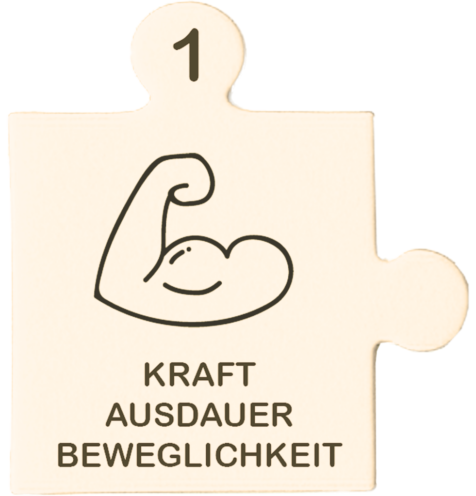 Puzzle Kraft, Ausdauer, Beweglichkeit