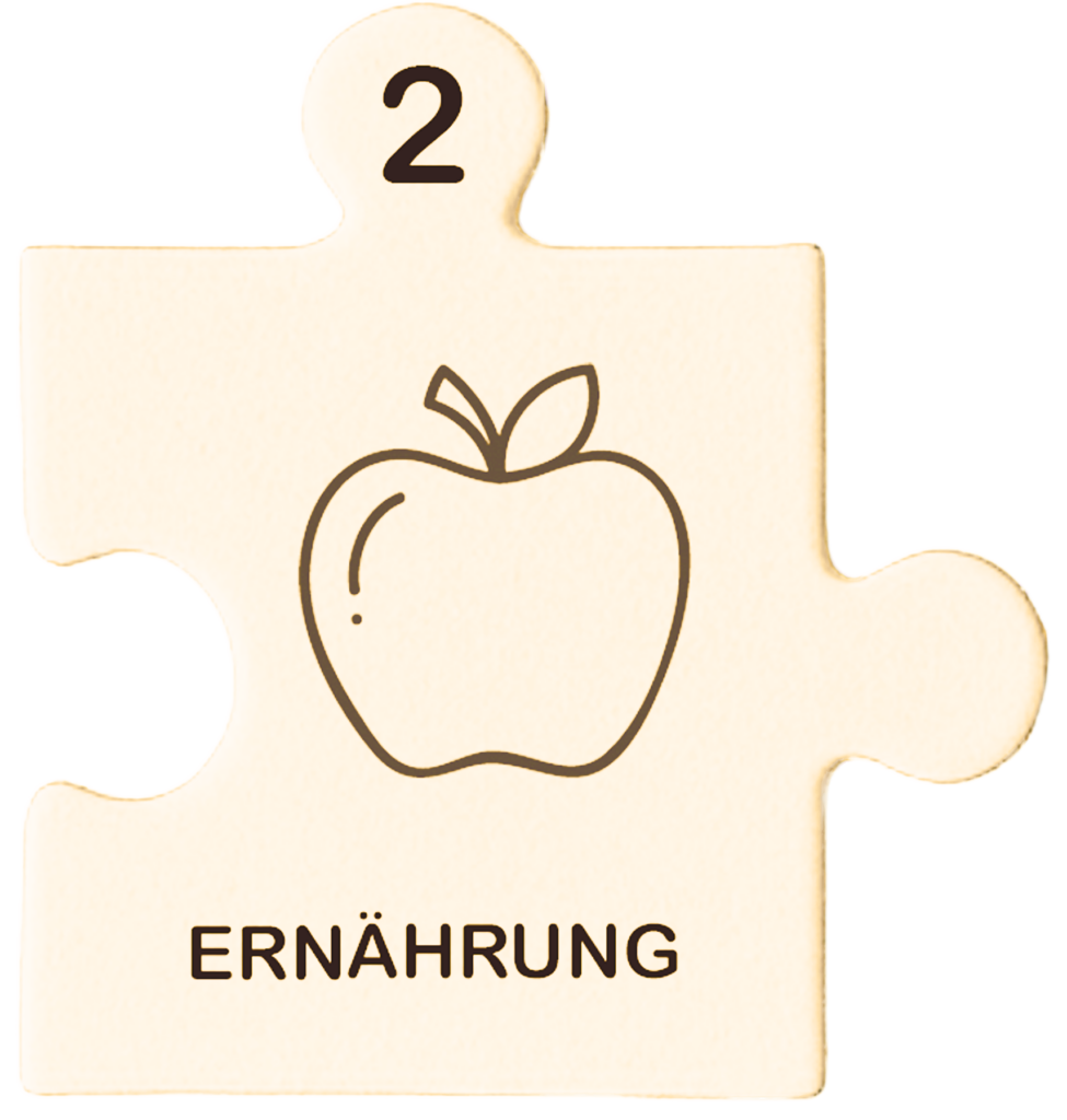 Puzzle Ernährung