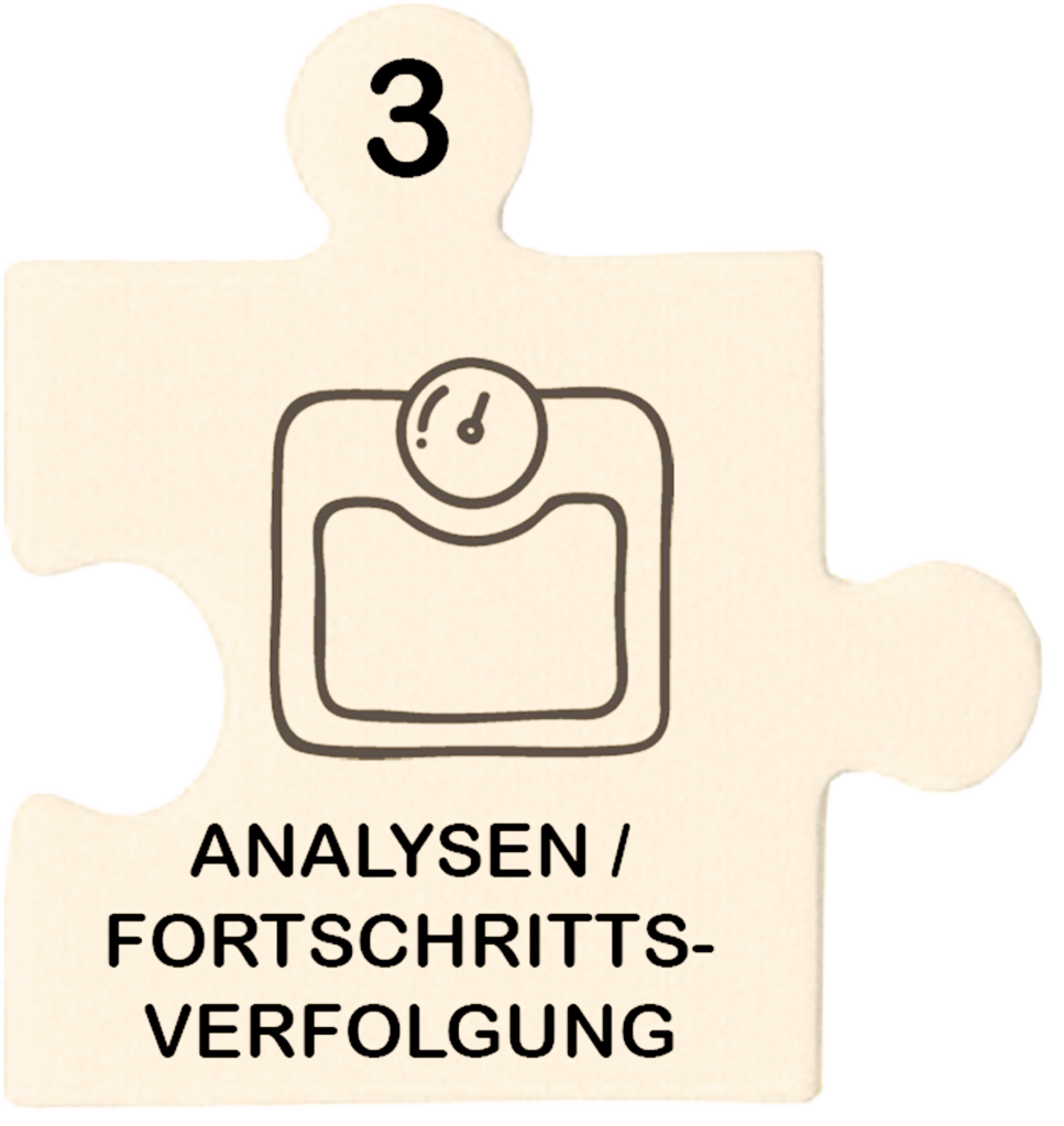 Puzzle Analysen, Fortschrittsverfolgung